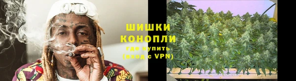 трава Инсар