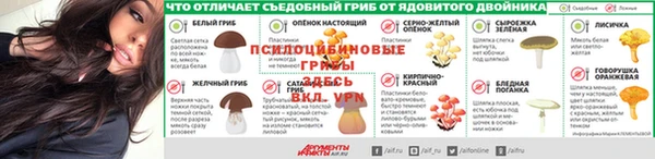 мяу мяу мука Инта