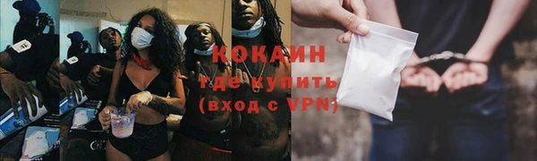 твердый Иннополис