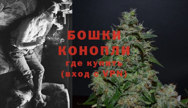 мяу мяу мука Инта