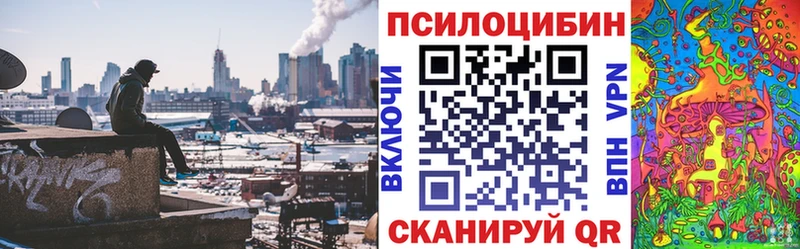 Галлюциногенные грибы прущие грибы  kraken зеркало  Иннополис 